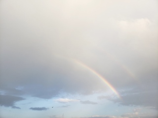 虹。