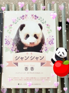 上野動物園。