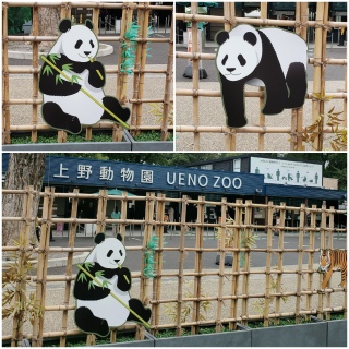 上野動物園。