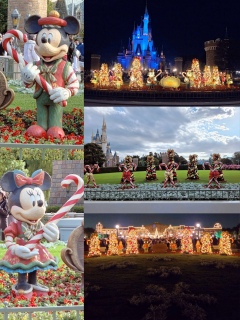 �u���L�̂�������B