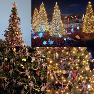 When You Wish Upon A STAR�B