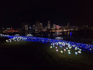 ���[�Y�K�[�f���B