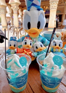�X�p�[�N�����O�E�W���r���[�B